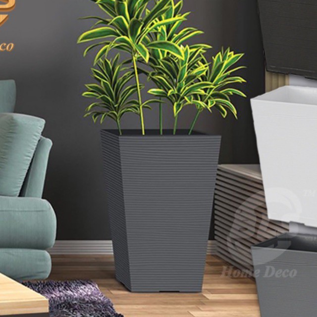 pasu bunga  petak pasu bunga  viral pasu bunga plastik besar  