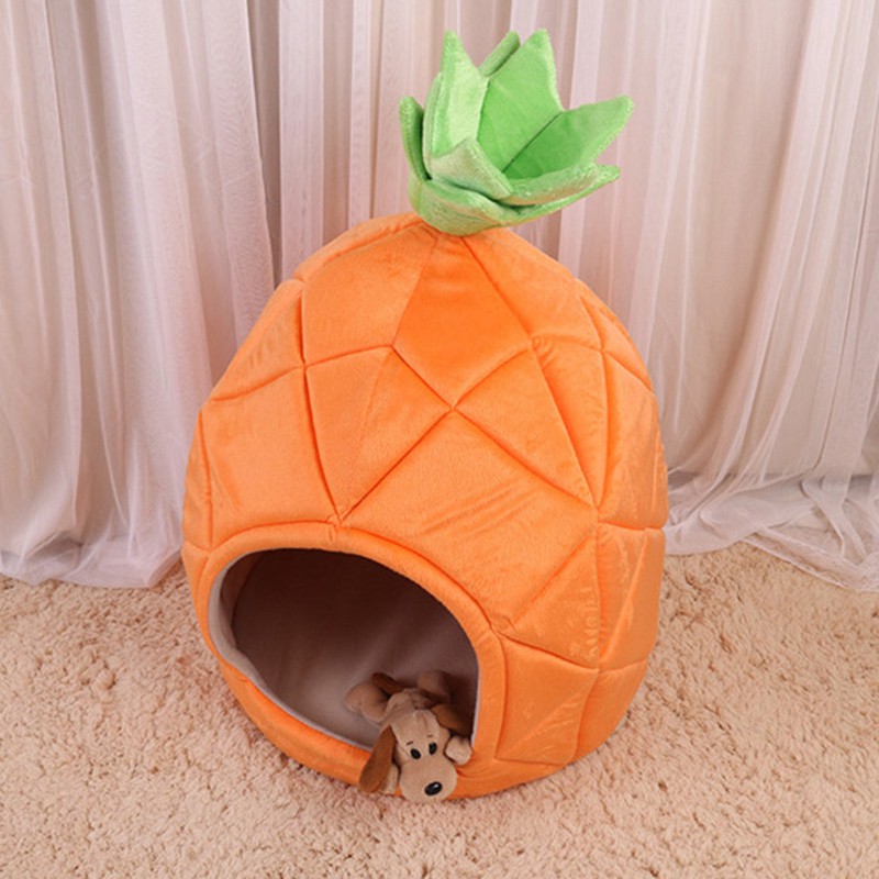 pineapple cat house