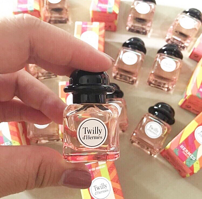mini twilly hermes