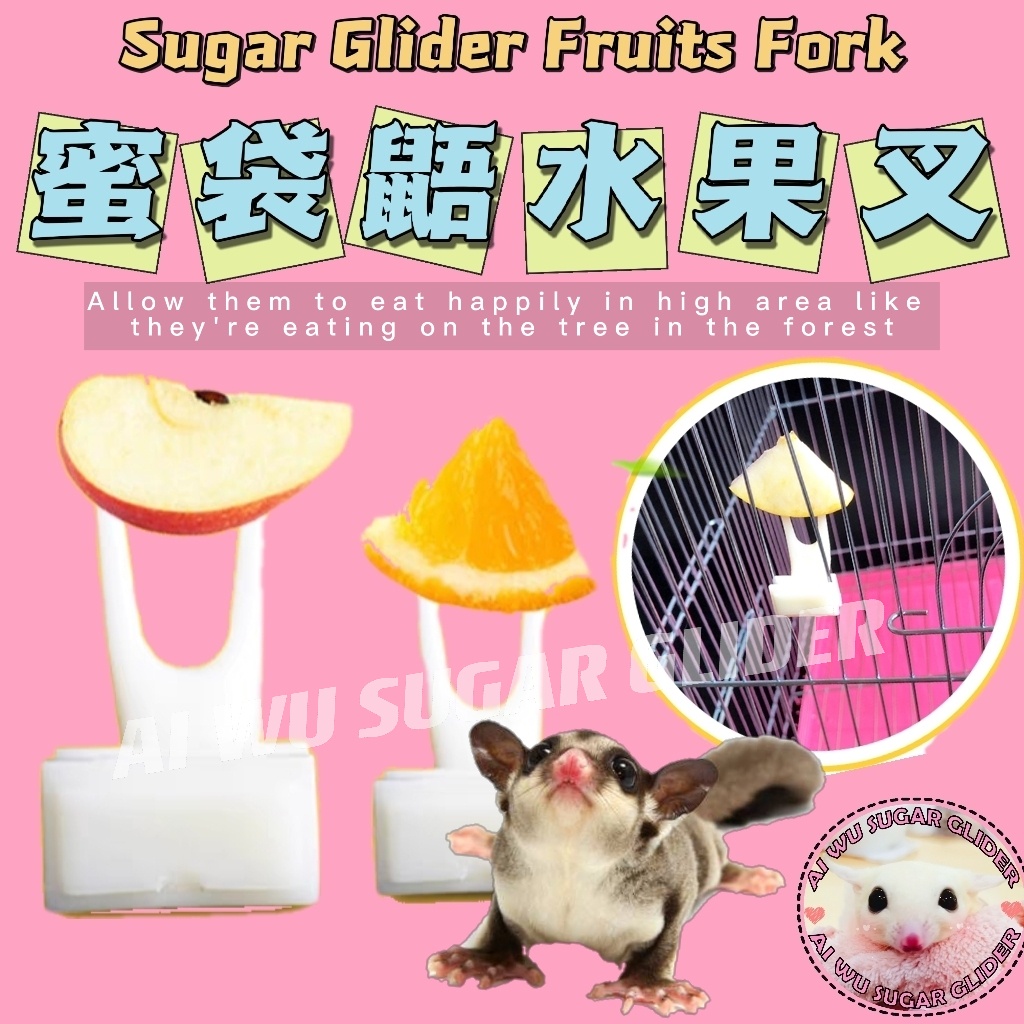 Sugar Glider Fruit Fork Toy and fruits hanger food hunting toy small