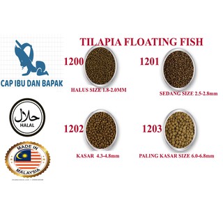 JB koi plus/ikan koi/ikan kap/pond/fountain/kolam  Shopee 