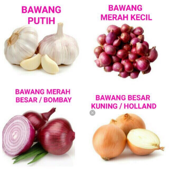 BAWANG PUTIH / BAWANG MERAH KECIL / BAWANG BOMBAY / BAWANG HOLLAND