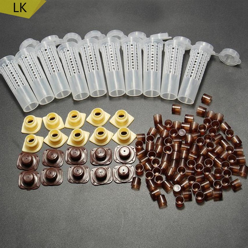 Beekeeping Tools Equipment Set Queen Rearing System Cultivate Box and