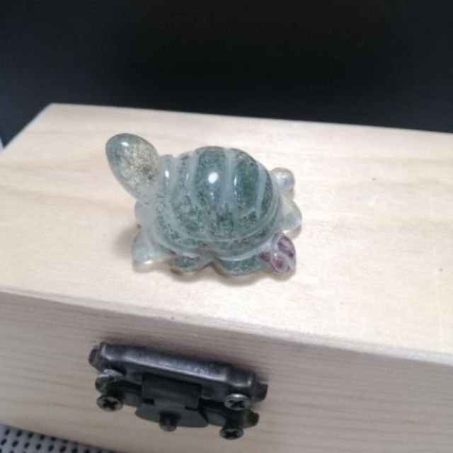 Ready Stock Phantom Longevity Tortoise 31mm Shopee Malaysia shopee