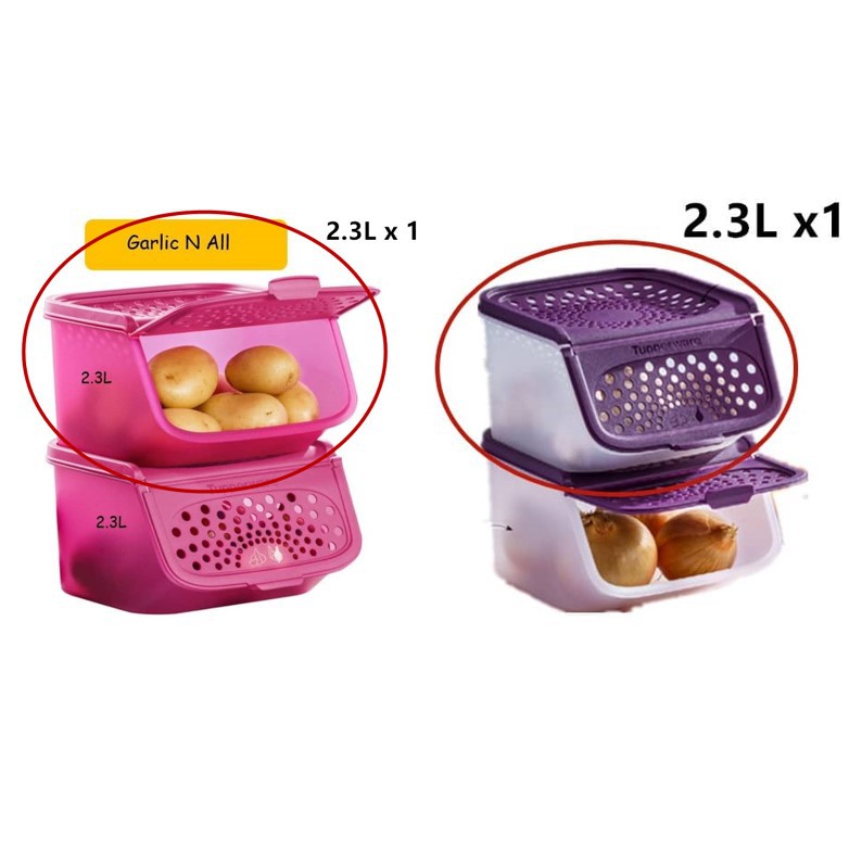 Tupperware Garlic N All Keeper (1) 2.3L Purple / Pink