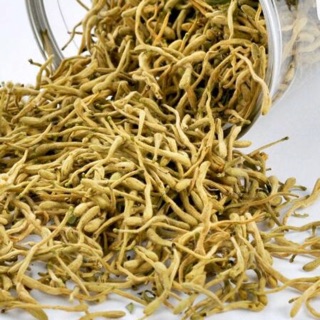 Bunga Honeysuckle f Shopee Malaysia Bunga Honeysuckle f Shopee Malaysia