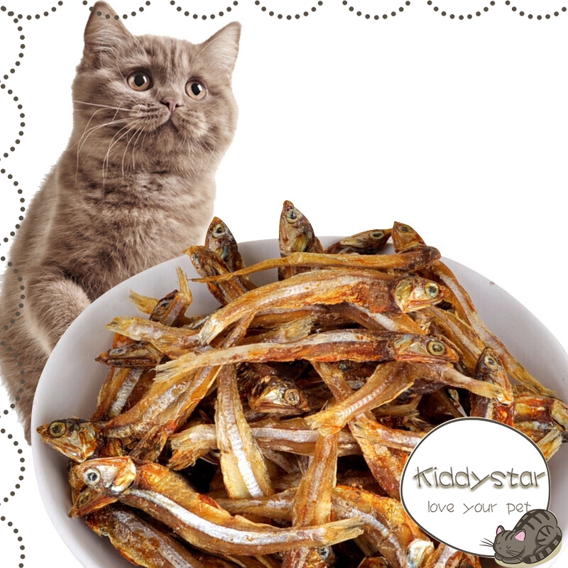 salt free cat food