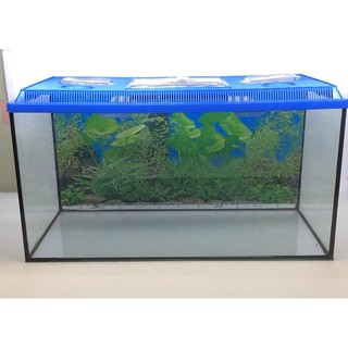 2feet aquarium  cover akuarium 2 kaki penutup  XHHG Shopee 