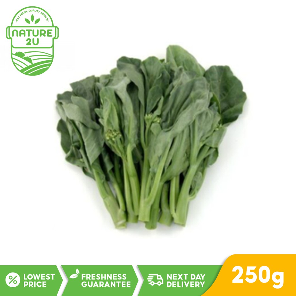 Nature2U Fresh Vegetable Kale / Hong Kong Kailan (250g) Shopee Malaysia