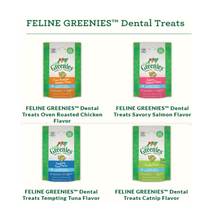 Feline Greenies Dental Treats Catnip, Chicken, Salmon & Tuna Flavour