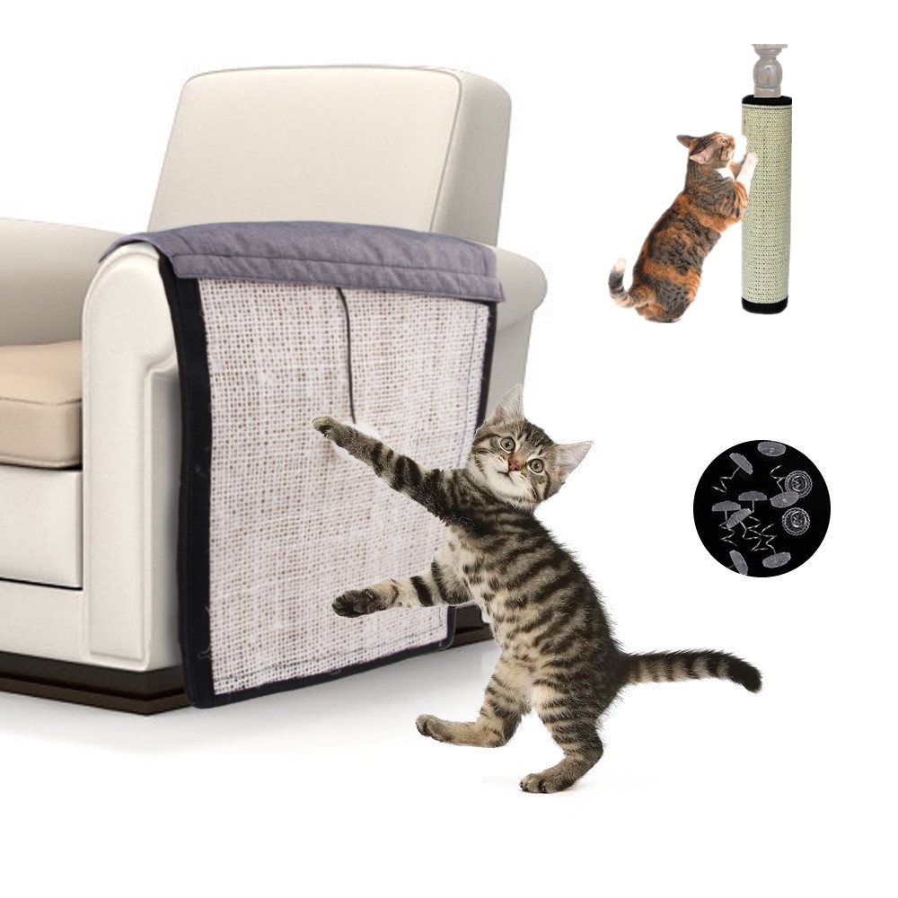 cat scratcher shopee