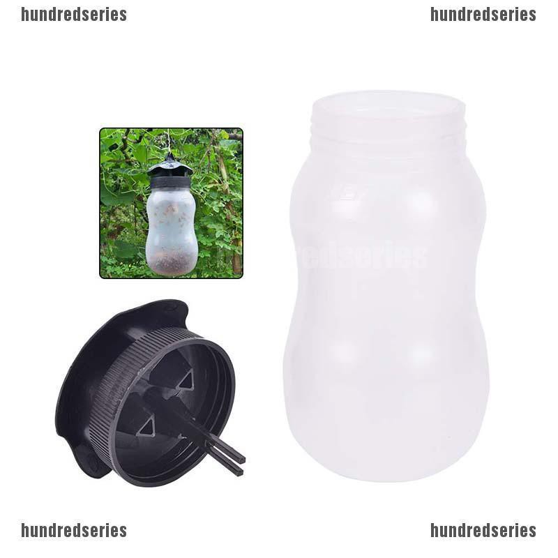 outdoor fruit fly trap