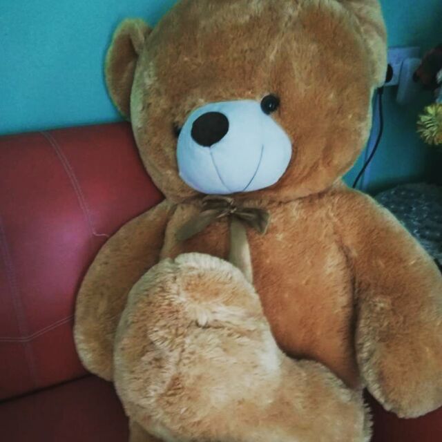 teddy bear shopee