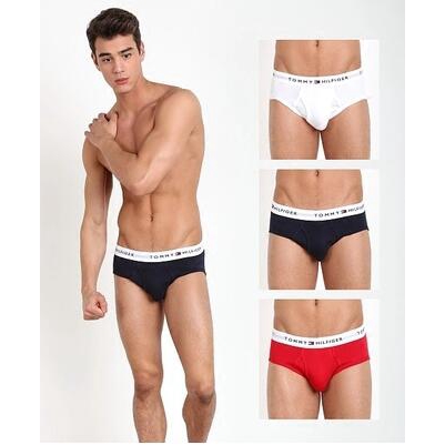 tommy hilfiger briefs mens