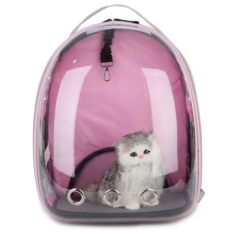 cat pack carrier