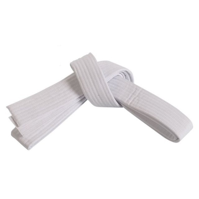 White Colour Karate Taekwondo Kempo TangSooDo Kendo Silat Judo Martial Art Belt