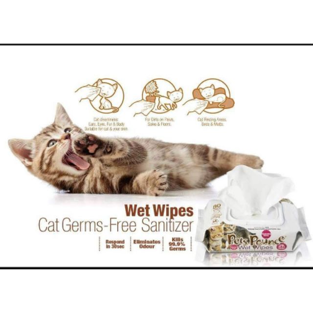 Bioion Pet Pounce Wet Wipes Wet Tissues 宠物消毒湿纸巾 Antibacterial Non Alcohol Sanitizer 抗菌kill Grem Ready Stock Shopee Malaysia