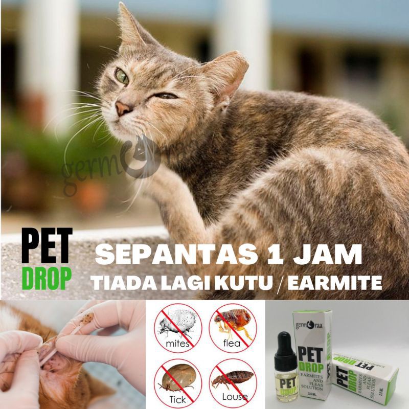 ✐♀EAR MITES u0026 ANTI-FLEA SOLUTION - UBAT KUTU KUCING / ANJING 