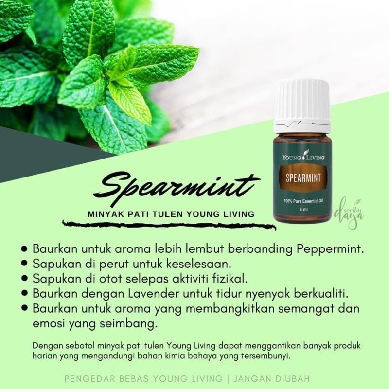 Young Living Spearmint Essential Oil 5 Ml Shopee Malaysia