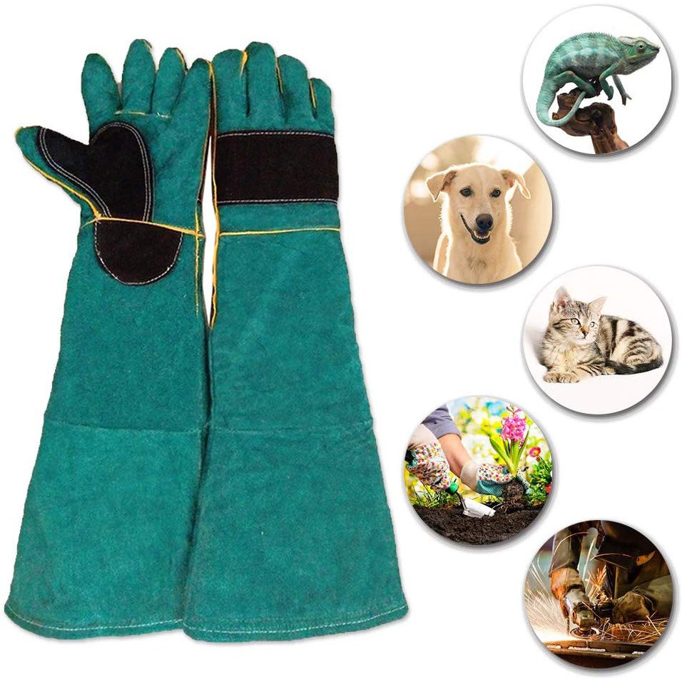 Oncefirst Pet Handling Gloves Anti Bite Scratch Resistant Gloves for Dog Cat Bird Parrot Lizard & Other Animals Blue XL 