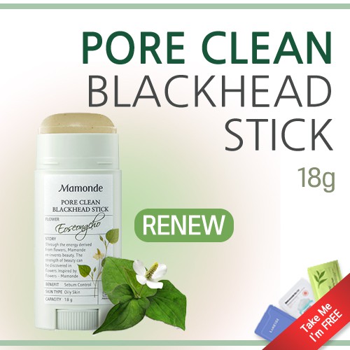 in pore cleaner stick