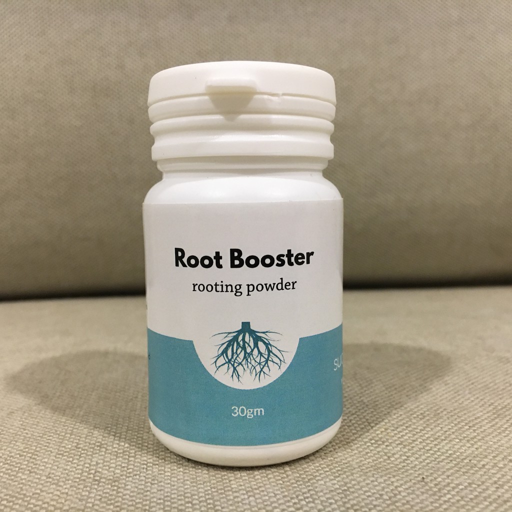 Root Booster For Boosting Plant Roots (Rooting Powder) Shopee Malaysia