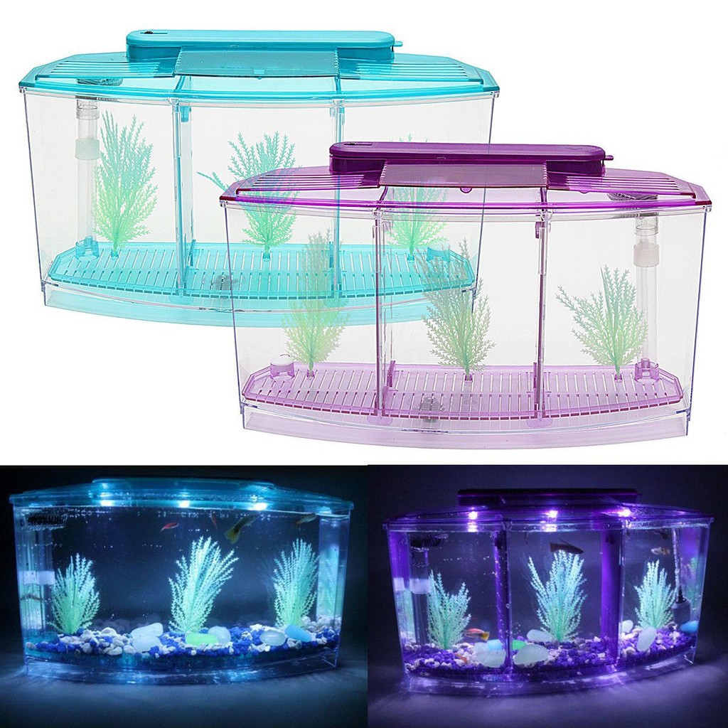 Upgrade Cm Removable Betta Aquarium Small Fish Fish Tank With Six