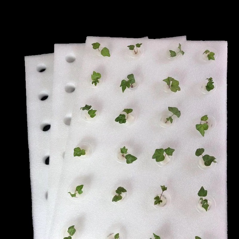 1pc Hydroponic Foam Board 600*400*30mm Greenhouse Soilless Cultivation Equipment Hydroponic Vegetable Floating Plate