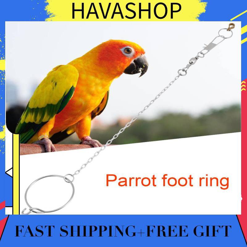 Havashop Supersale 3 5 4 5 5 5mm Stainless Steel Pet Parrot Birds Foot Stand Chain Ring Toys Shopee Malaysia