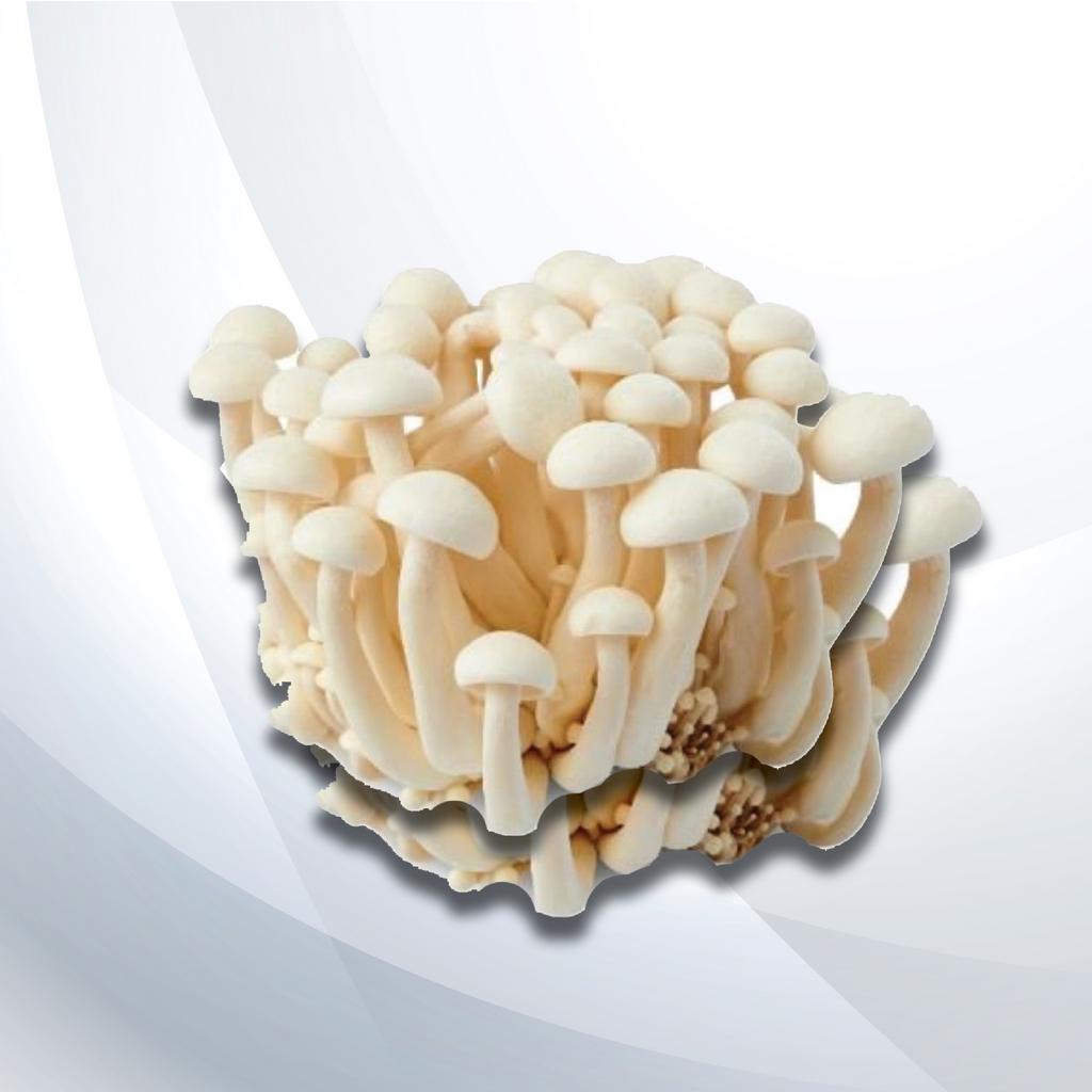 MUSHROOM SHIMEJI WHITE +/125G Shopee Malaysia