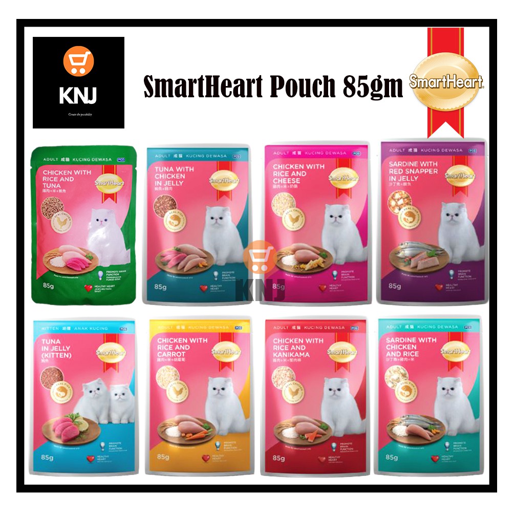 wet food untuk kitten,New daily offers,sultanmarketim.com