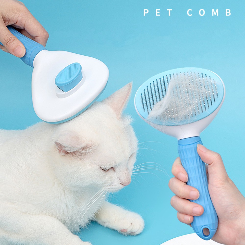 cat brush