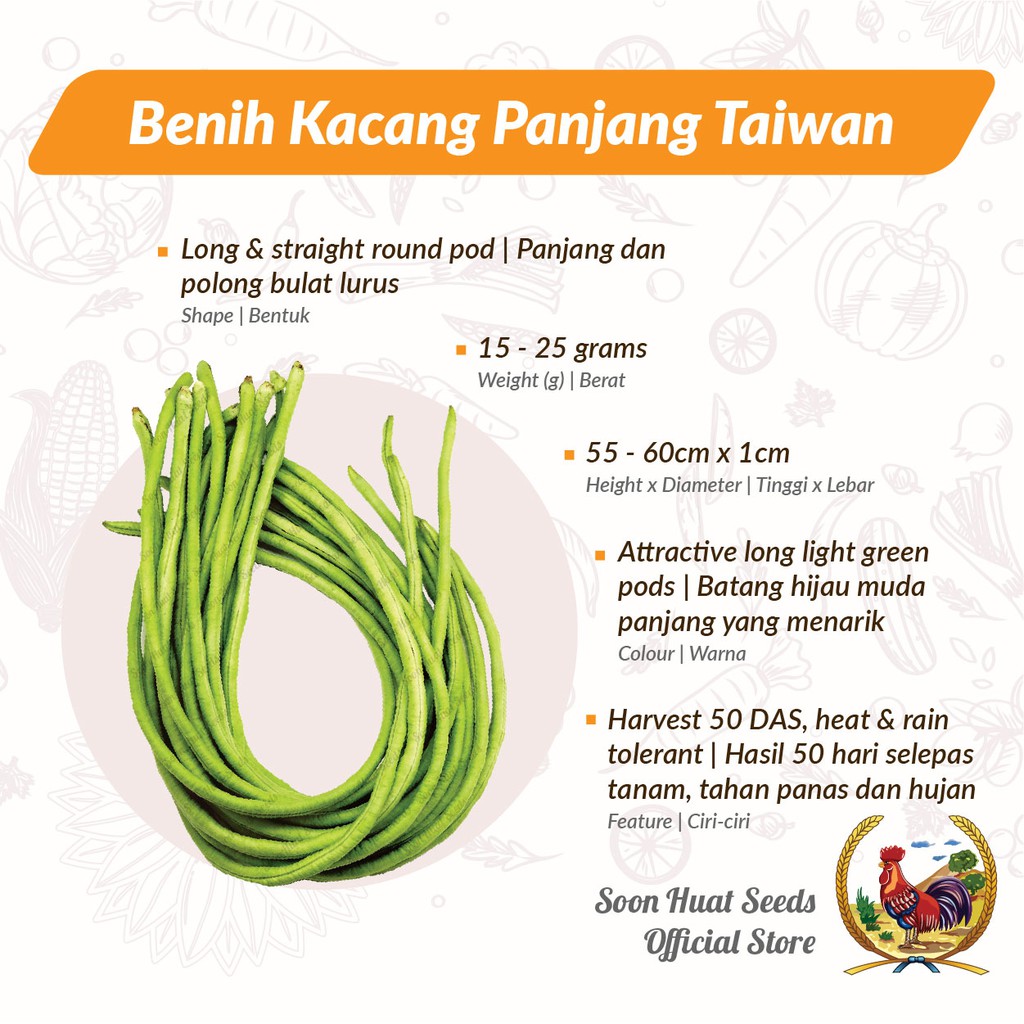 Soon Huat Benih Kacang Panjang 305 Taiwan Long Bean Seeds 台湾菜豆種子 Shopee Malaysia