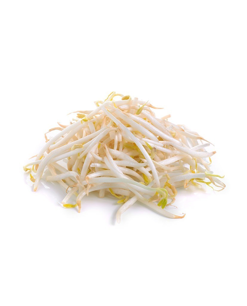 Buy Bean Sprout Taugeh 500g Pkt Seetracker Malaysia