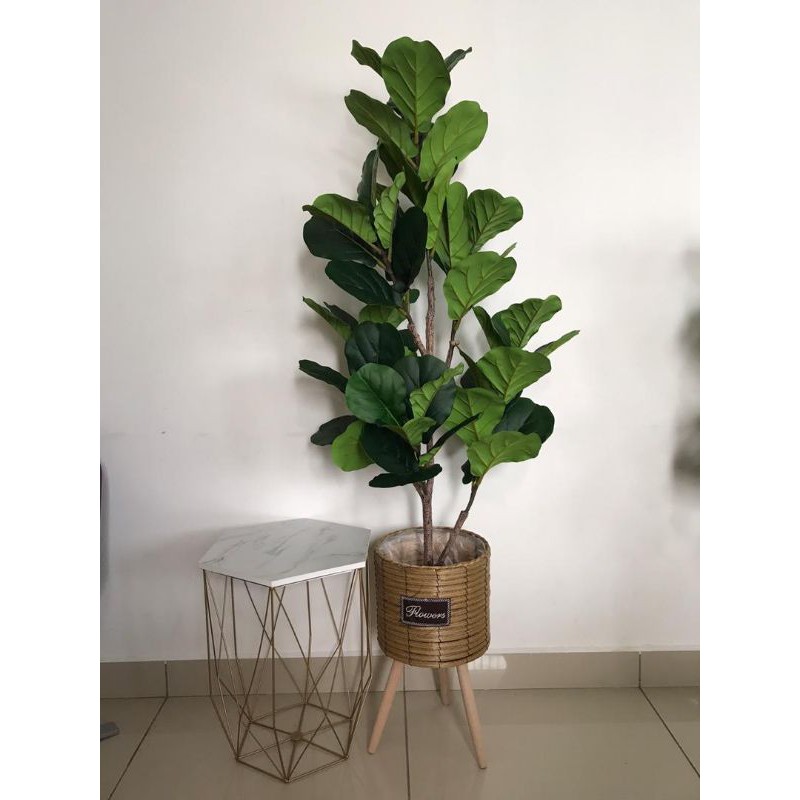 Artificial fiddle fig tree real touch high quality 130cm high pokok