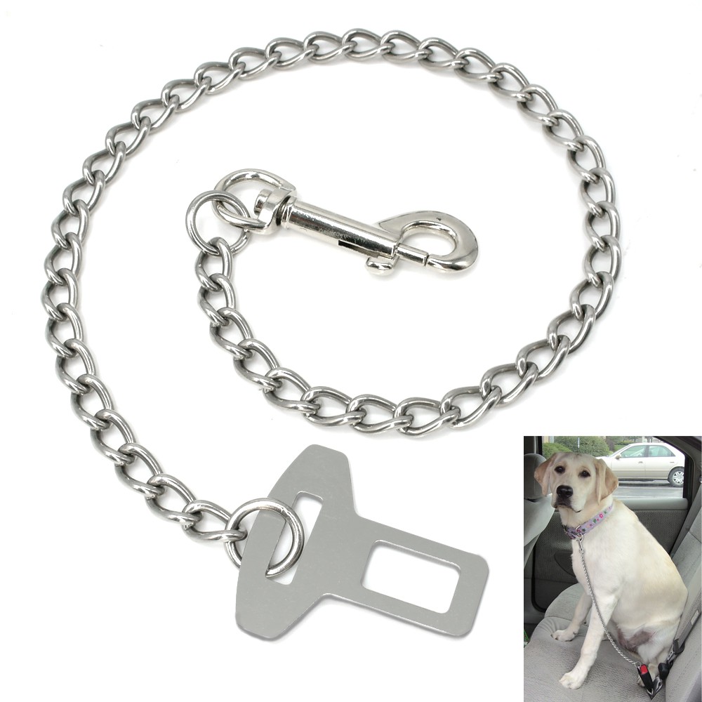 dog chain clip