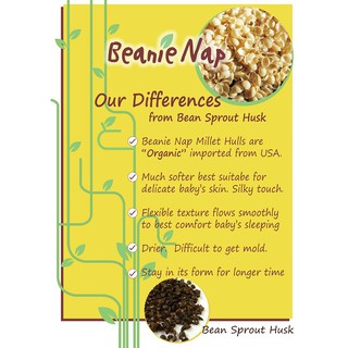 beanie nap comforter baby pillow
