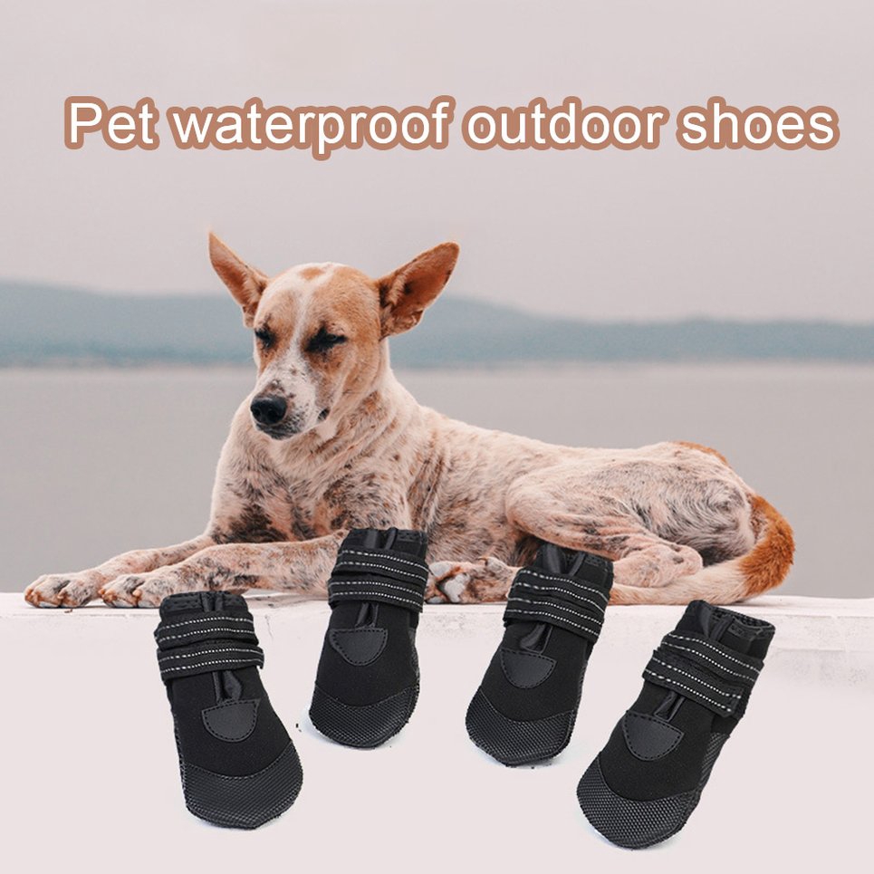 non slip shoes for dogs