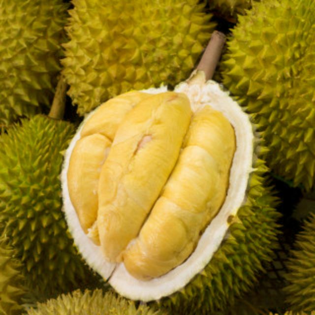 Kahwin durian Durian