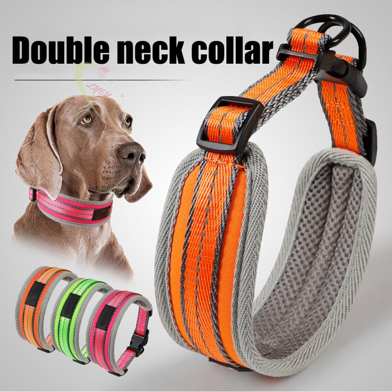 puppy neck collar