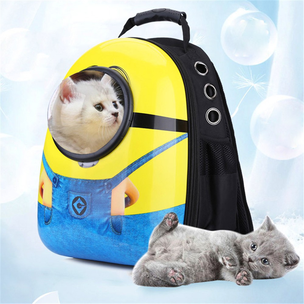 cat backpack bubble window