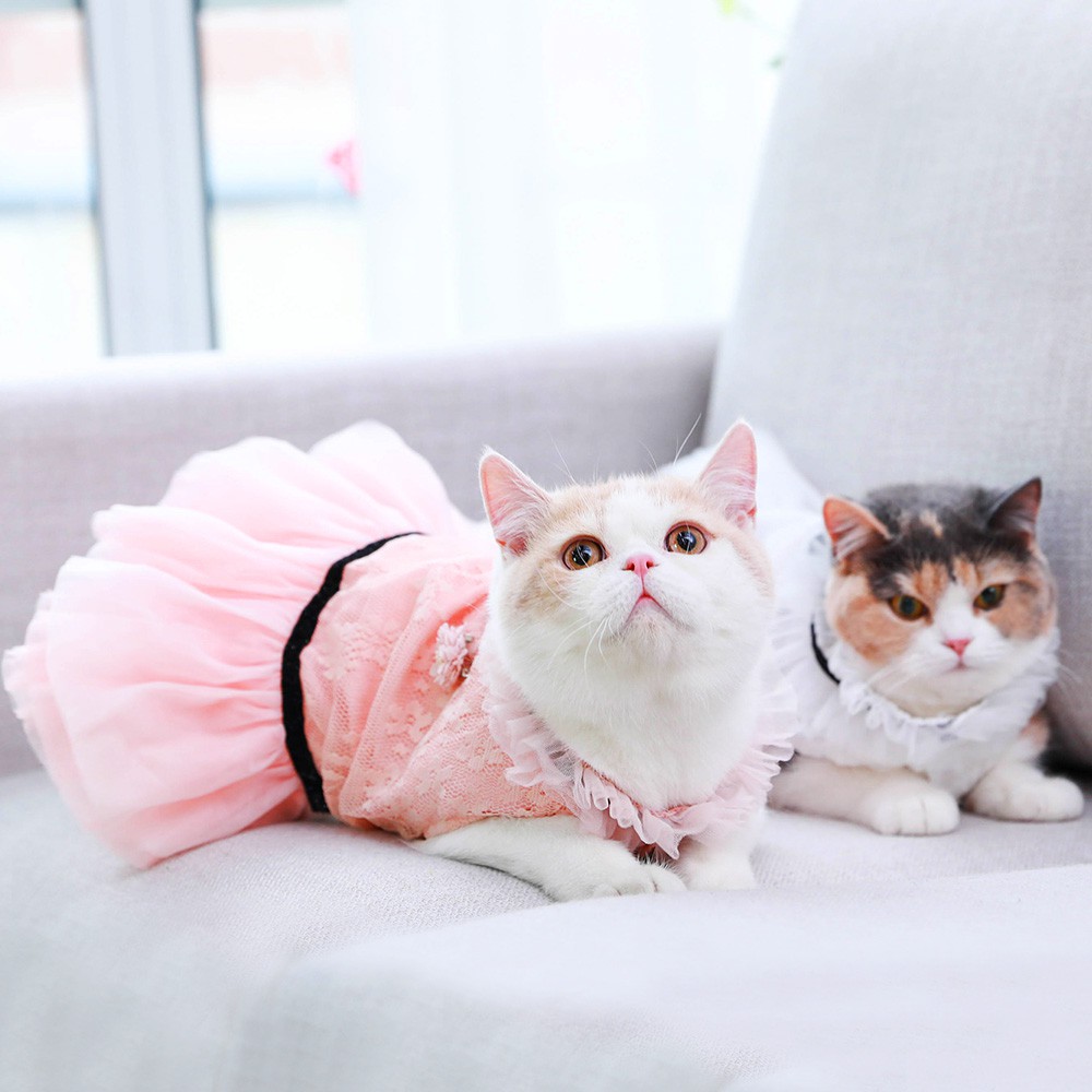 kitten dress