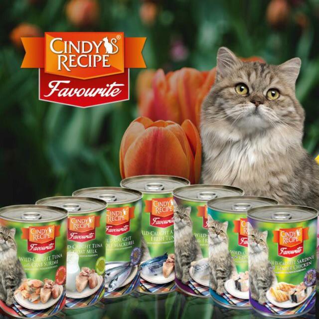 CINDY'S RECIPE WET FOOD 400G (12 FLAVOURS) | Shopee Malaysia