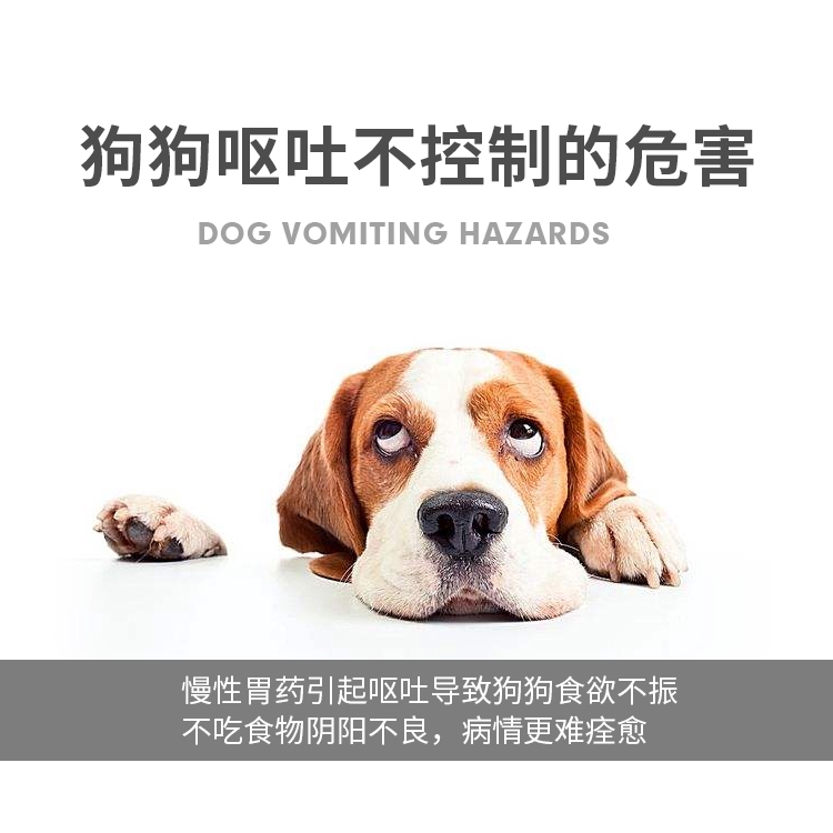 yakult for vomiting dog