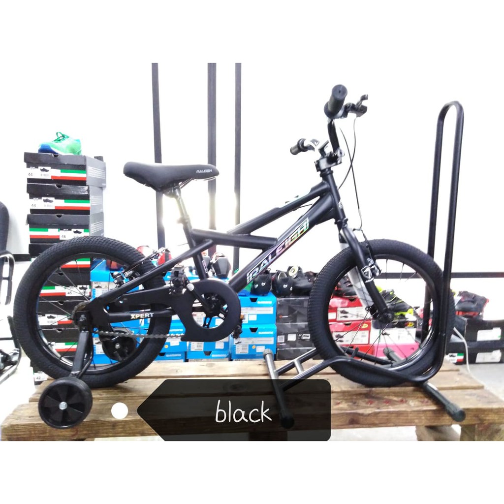 raleigh bmx bikes