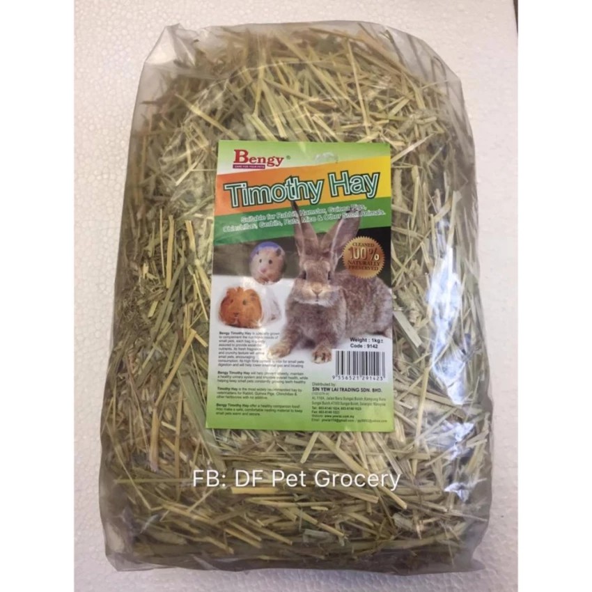 rabbit food hay