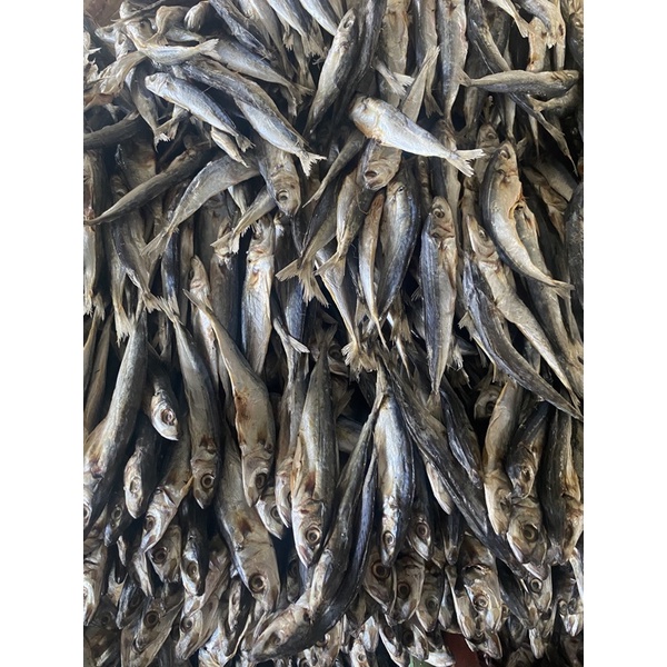 Philippines Salted Fish(Galunggong) (10pcs per pack) | Shopee Malaysia