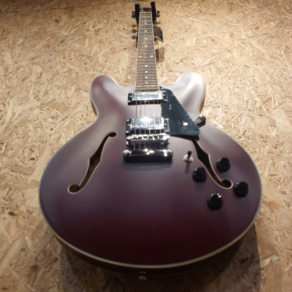 Azalea Les Paul / Sqoe Semi Hollow Jazz Electric Guitar F310 LesPaul