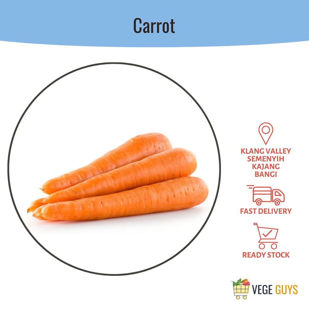 Red Carrot 红萝卜 (+/-400g)