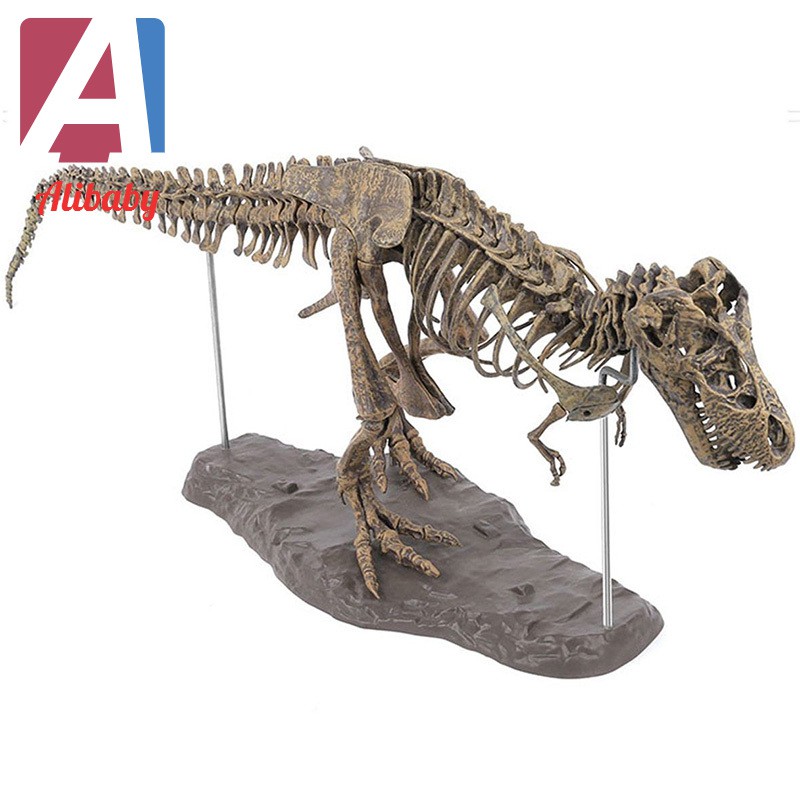 Tyrannosaurus Rex Skeleton Dinosaur Animal Collector Decor Model Toy Shopee Malaysia - tyrannosaurus rex skeleton model roblox